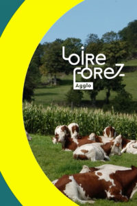 LOIRE FOREZ AGGLOMÉRATION